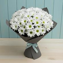 Букет цветов из:  Хризантемы в Шилке
