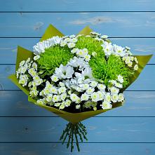 Букет цветов из:  Хризантемы #REPLACE_PRED# Шилке