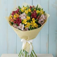 Букет цветов из:  Альстромерии в Шилке